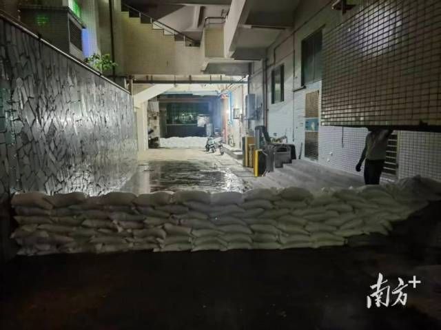 9971d1e76afd454c8ce46972d119f6af_batchwm.jpeg 9971d1e76afd454c8ce46972d119f6af_batchwm.jpeg