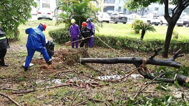 327af6d7-63b6-423e-b94c-72178ba58198.jpeg 327af6d7-63b6-423e-b94c-72178ba58198.jpeg