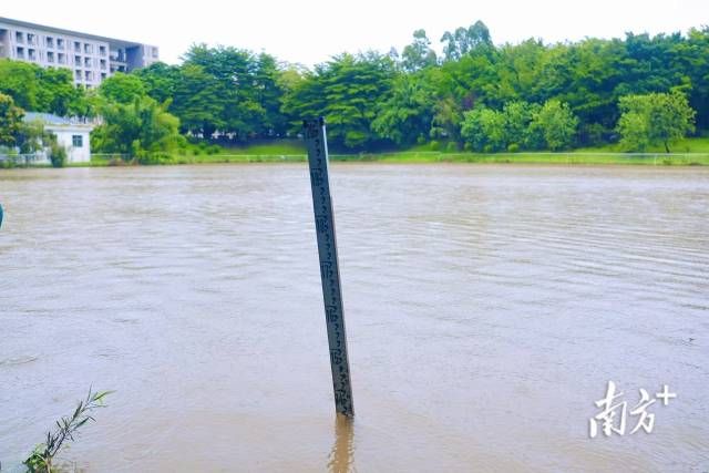 fae10bf4e0154f7d8cf4cc621b975775_watermark_batchwm.jpg fae10bf4e0154f7d8cf4cc621b975775_watermark_batchwm.jpg