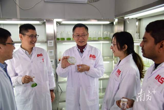 深圳大学高等研究院师生在实验室。 深圳大学高等研究院师生在实验室。