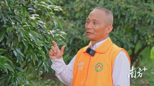 24c19c279a3948e0af152fd785aeb6a2_batchwm.jpg 24c19c279a3948e0af152fd785aeb6a2_batchwm.jpg