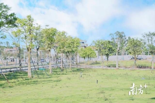 833db7bd3537420aae88c10052eede06_watermark.jpg 833db7bd3537420aae88c10052eede06_watermark.jpg