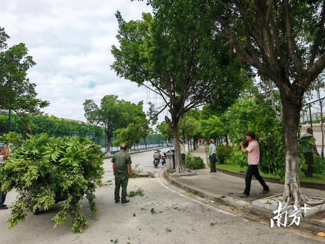 3df4f5ca96a24688b23c2bdceda6eaf7_batchwm_batchwm_batchwm.png 3df4f5ca96a24688b23c2bdceda6eaf7_batchwm_batchwm_batchwm.png