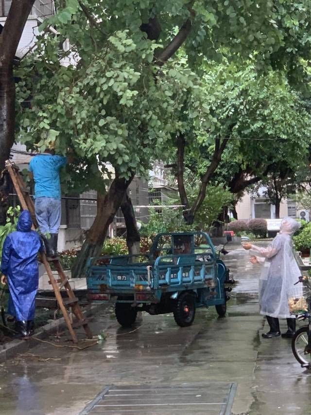 0c2b31d3-eb5b-4acf-b9e5-83ce597f09c4.jpeg 0c2b31d3-eb5b-4acf-b9e5-83ce597f09c4.jpeg