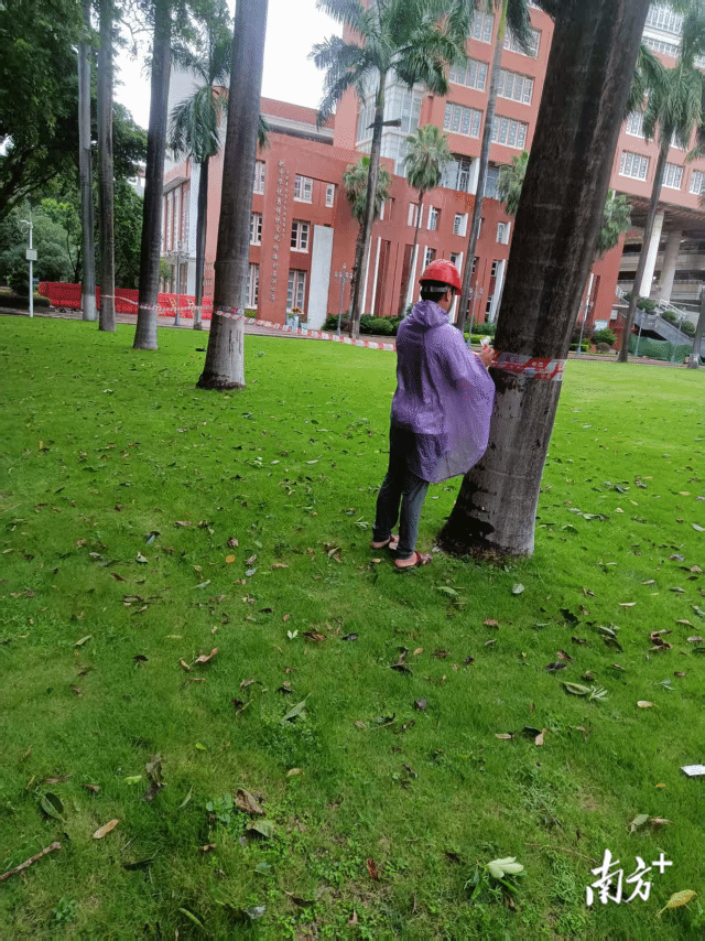 87d73f3da2ed40b2b4da6d0b0f51f2f0_batchwm_batchwm_batchwm.png 87d73f3da2ed40b2b4da6d0b0f51f2f0_batchwm_batchwm_batchwm.png