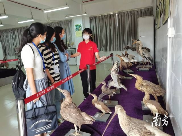 125d14bd63b743a5a230ec6035730cfd_batchwm.jpg 125d14bd63b743a5a230ec6035730cfd_batchwm.jpg