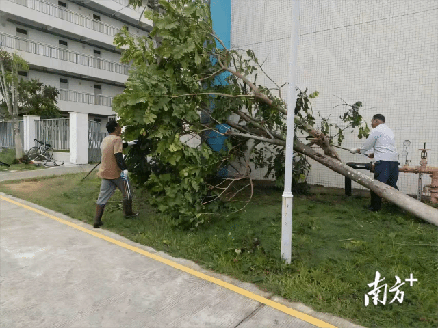 220bd7a5097945169ee53623de0fe30d_batchwm_batchwm_batchwm.png 220bd7a5097945169ee53623de0fe30d_batchwm_batchwm_batchwm.png