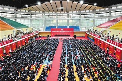 23333826_lsc_1750514925190_b.jpg 23333826_lsc_1750514925190_b.jpg