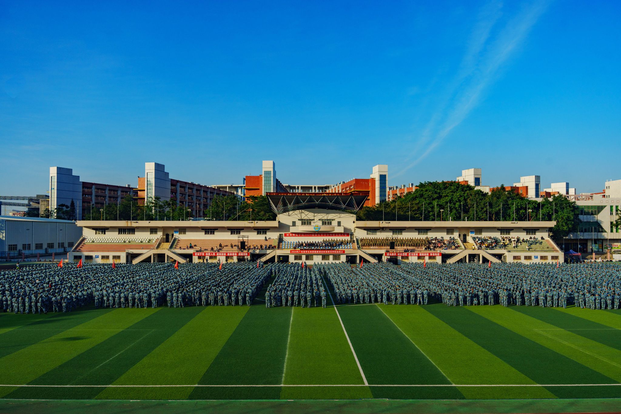 毛利华摄 特写3.JPG